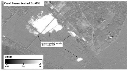 Castel Fusano da satellite 1